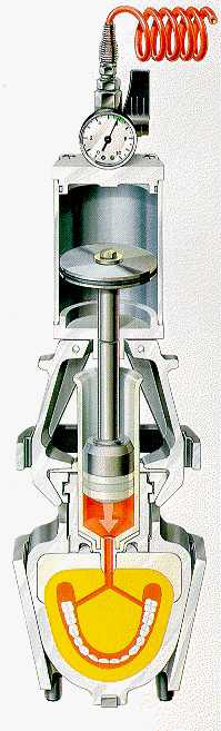 ivoclar1